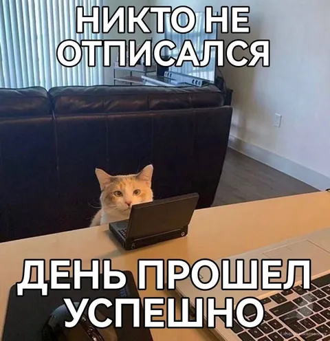 Никто не отписался