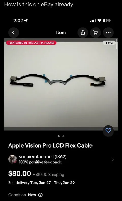 Vision Pro Cable on eBay