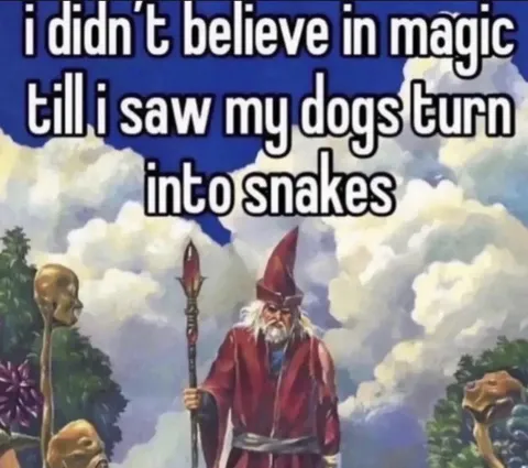 Dogs Turn Into Snakes