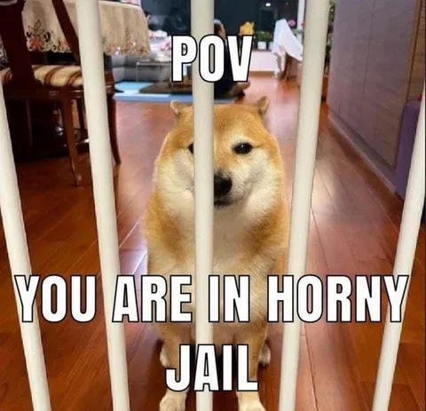 Horny Jail Shiba Inu