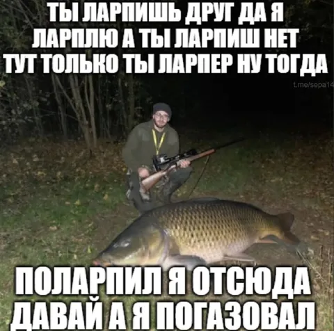 Ларпер поймал огромного карпа