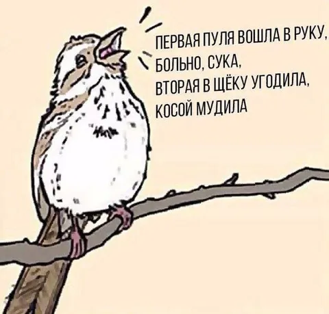 Косой мудила на ветке