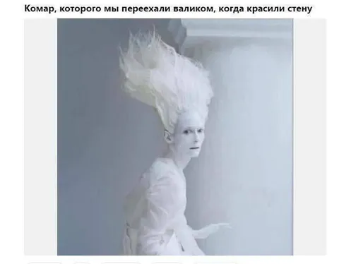 Комар после покраски стены