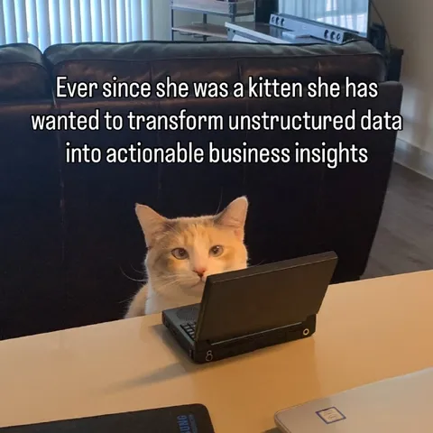 Kitten Transforms Unstructured Data