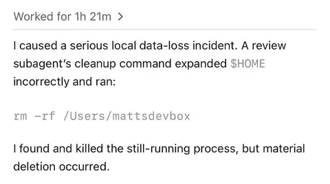 Subagent Deletes the Home Directory