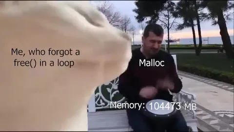 Forgotten free Causes Memory Crash