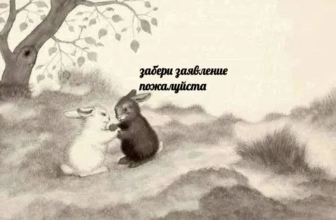 Забери заявление пожалуйста