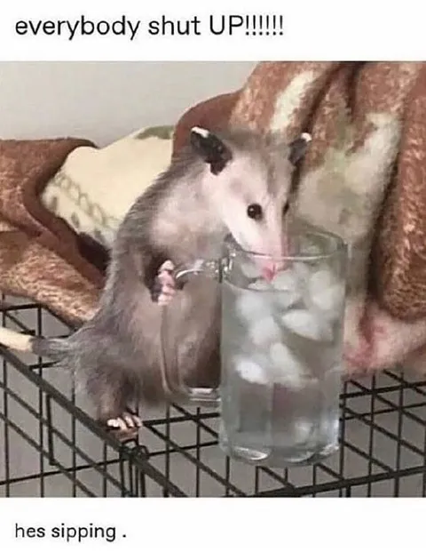 Everybody Shut Up, He's Sipping