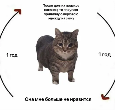Год поисков зимней одежды