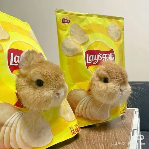 Кролики в пачках Lay's