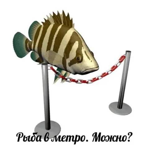 Рыба в метро. Можно?