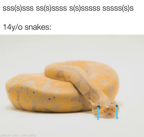 Fourteen-Year-Old Snake Sounds