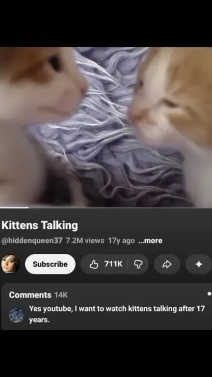 Kittens Talking for 17 Years
