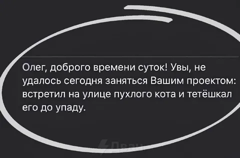 Пухлый кот отменил проект