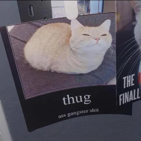 Thug Cat Poster