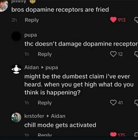 Chill Mode Gets Activated