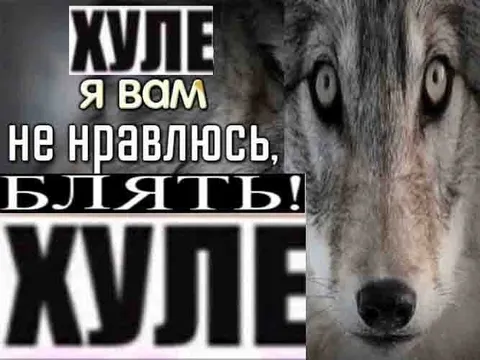 Хуле я вам не нравлюсь