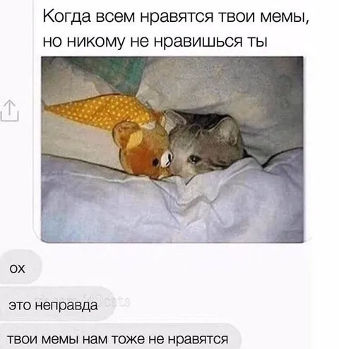 Когда нравятся мемы, но не ты