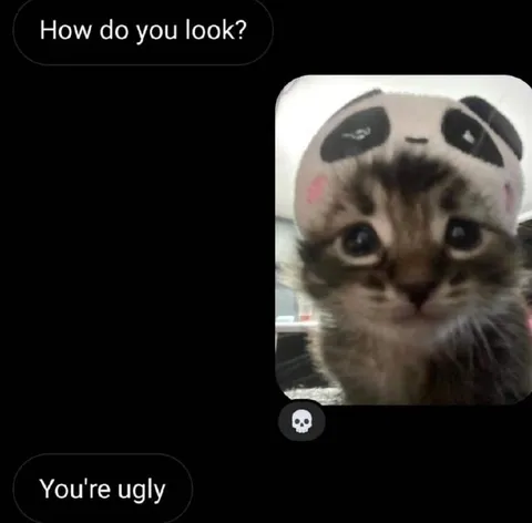 Cute Cat Gets Insulted