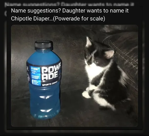Chipotle Diaper Name Suggestion