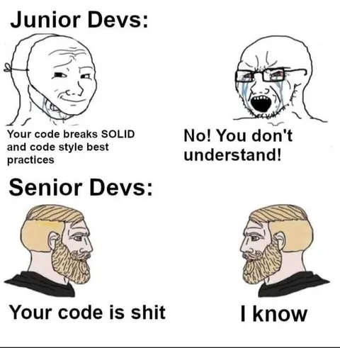 Junior and Senior Developers