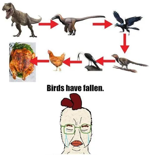 Birds Have Fallen Evolution Meme