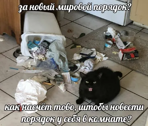 Новый мировой порядок