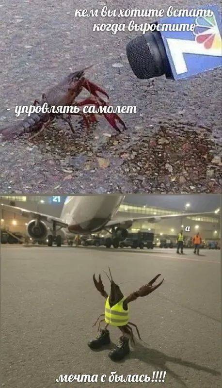 Мечта управлять самолётом сбылась