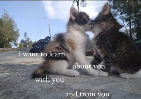 I Want to Learn From You