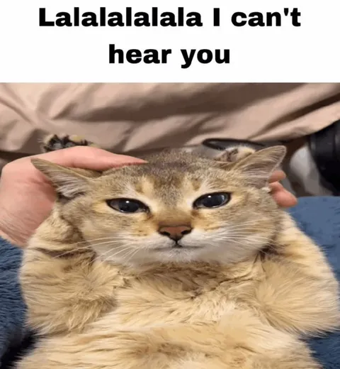 Cat Can't Hear You