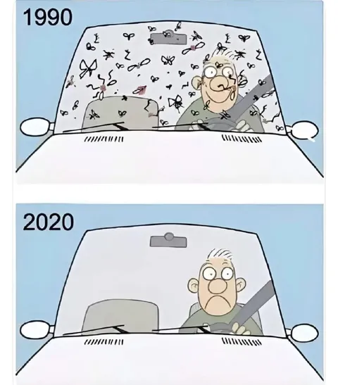 Когда баги закончились