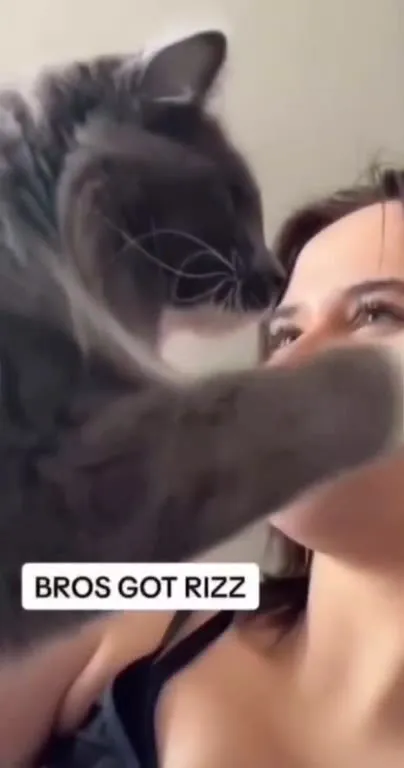 Cat Has Unbelievable Rizz