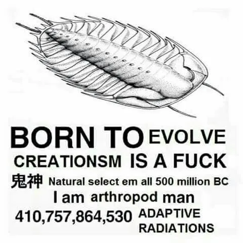 Born to Evolve Arthropod