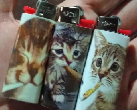 Зажигалки с котятами