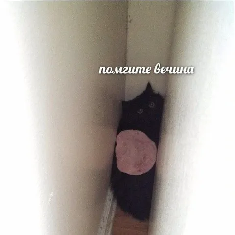 Помните Вечина в стене