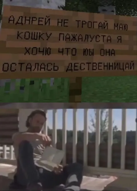 Андрей и кошка в Minecraft