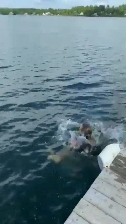 Как не надо прыгать в воду