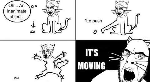 Cat Discovers It Is Moving