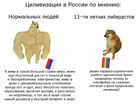 Циливизация в России по мнению
