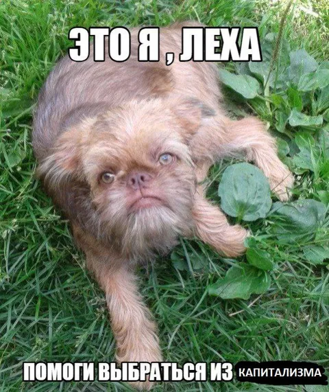 Лёха выбирается из капитализма