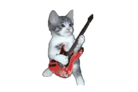 Cats Singing About Love