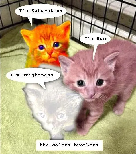 The Colors Brothers