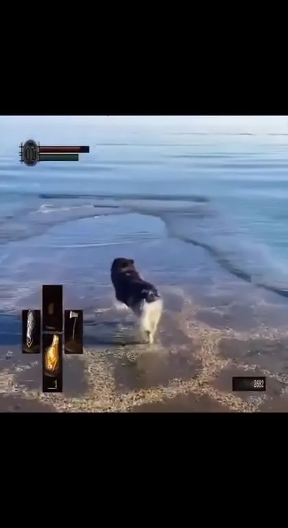 Dog Accidentally Dies in Dark Souls