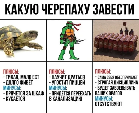 Какую черепаху завести
