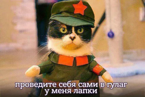 Кот с лапками в ГУЛАГ