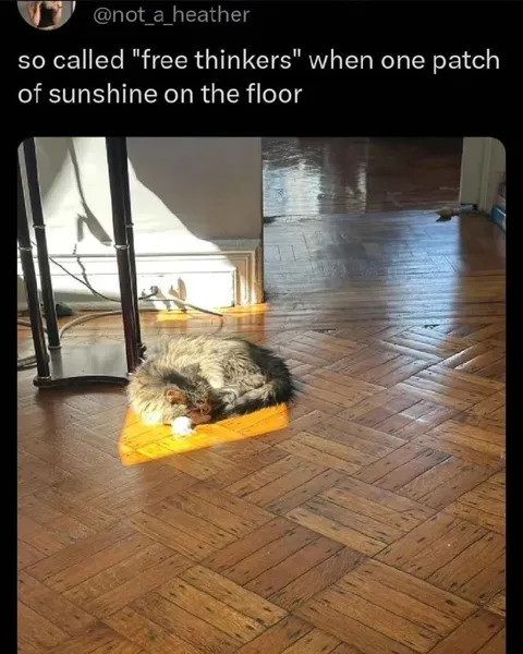 Free Thinkers Love Sunshine