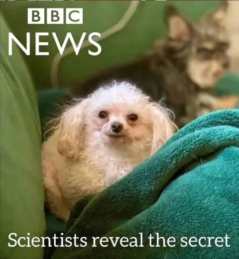 Scientists Reveal the Secret
