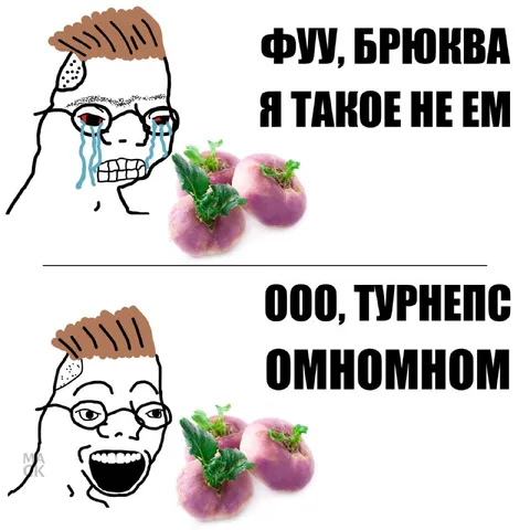 Брюква и турнепс