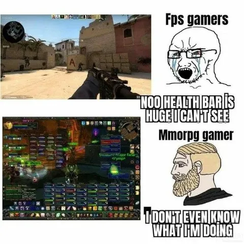 FPS Gamer vs MMORPG Gamer