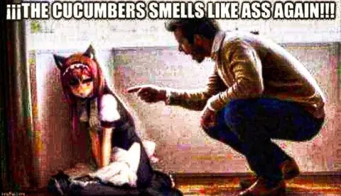 The Cucumbers Smell Like Ass Again